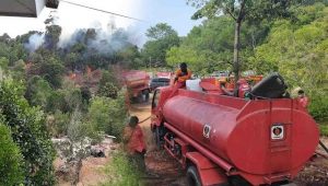 Kebakaran Hutan Terjadi di Area Komplek Pajak Tiban