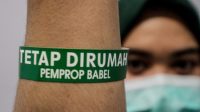 Aplikasi Pantau Covid-19 Buatan Anak Negeri