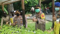 Jaga Ketahanan Pangan, Polres Lingga Budidaya Lele, Hidroponik dan Berkebun Jagung