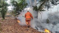 Kebakaran Hutan Lindung Hingga 55 Hektar, Hantoni: Masyarakat Harus Aktif Jaga Alam