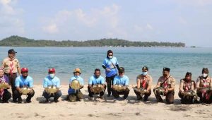 Perairan Batam Dianugerahi sebagai Habitatnya Penyu Sisik