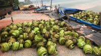 Polsek KKP Polresta Barelang Police Line 760 Tabung Gas Elpiji 3 Kg