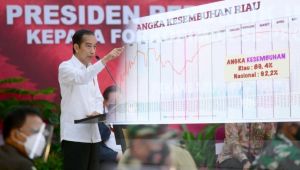 Presiden Jokowi Dorong Kerja Sama Daerah untuk Bersama Tangani Pandemi Covid-19
