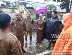 Ada Laporan Pohon Tumbang, Molen Langsung Datangi Lokasi
