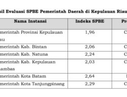 Hasil Evaluasi Pemerintahan Berbasis Elektronik, Batam Satu-satunya Daerah di Kepri Raih Predikat Baik