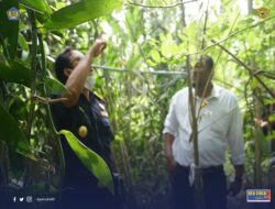 Bea Cukai Bantu, Pelaku Usaha Dalam Negeri Dorong Produksinya Tembus Pasar Internasional