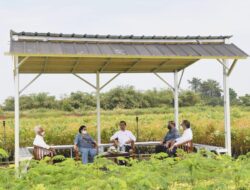 President Jokowi: Critical Land Rehabilitation Begins from Nursery Development