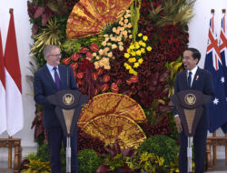 Australian PM to Attend G20 Summit in Bali
