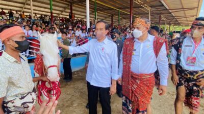 President Jokowi Watches Horse Racing in East Sumba