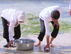 President Jokowi Releases Turtle Hatchlings in Wakatobi