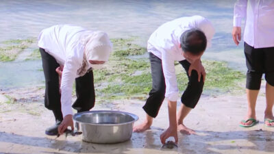 President Jokowi Releases Turtle Hatchlings in Wakatobi