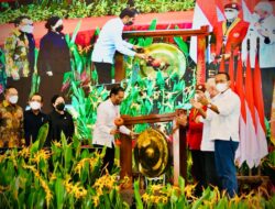 Capital Relocation to Go as Planned, President Jokowi Says
