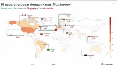 Health Ministry: No Monkeypox Cases Reported in Indonesia