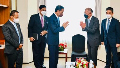President Jokowi Meets with Hyundai Motor Group Chairperson