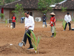 President Jokowi: Ensuring Food Supply Important in Facing Food Crisis