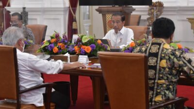 Presiden Minta Pengembangan Lumbung Pangan Dimaksimalkan