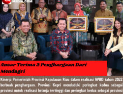 Ansar Terima 2 Penghargaan Dari Mendagri