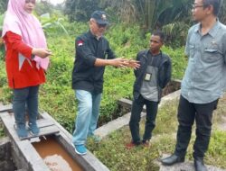 Untuk Memenuhi Target Indek Kualitas lingkungan Hidup, Ini yang Dilakukan Kepala DLH Meranti