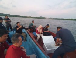 5.500 Ekor Baby Lobster Akan di Selundupkan, 4 Orang Diamankan Ditreskrimsus Polda Kepri
