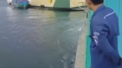 AIS di Matikan, KM Sabuk 80 Kandas, “Mampukah Syahbandar Menegakan Sanksi”