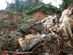 Update Longsor di Tambang Ilegal Kabupaten Solok, 12 Meninggal Dunia
