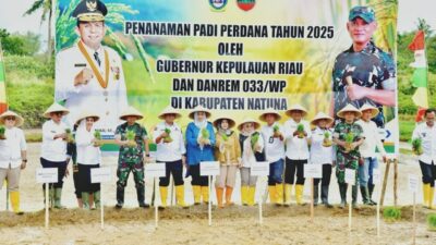 Tanam Perdana Padi di Natuna, Pemprov Kepri Perkuat Ketahanan Pangan