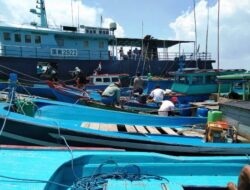 Ekspor Ikan Hidup Ke Hongkong Mandet,  Ekonomi Natuna di Lembah Kehancuran