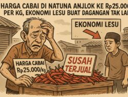 Akibat Ekonomi Lesu, Harga Cabe Merosot Hingga 25 Ribu Per Kg,  Petani Merugi