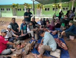 Sukses Gaspol, Masjid Besar Nurul Iman Kijang Distribusikan Daging Kurban