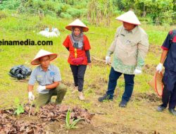 Restorasi Berbasis Edukasi : Pelatihan Agroforestri Perkuat Ketahanan Petani Desa Toapaya Utara