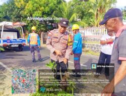 Warga Bintan Diminta Laporkan Potensi Pohon Rawan Tumbang
