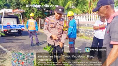 Warga Bintan Diminta Laporkan Potensi Pohon Rawan Tumbang