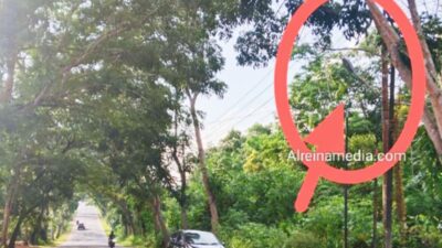 Nelangsa, 1 PJU Kaku Mati Membeku di KM 17 Gunung Lengkuas