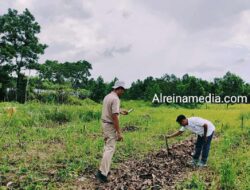 Wujudkan Restorasi Lestari di Toapaya Utara