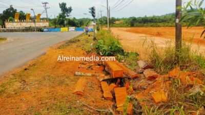 Berjejer Pohon di Tepi Jalan KM 22 Gunung Lengkuas Diduga Dibabat Habis