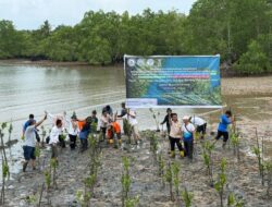 Selat Satu Gurindam, Ikon Baru UMRAH dari Aksi 1.000 Mangrove