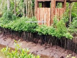 DPRD Bintan Bergerak Soal Dugaan 10 Villa di Sungai Sebong Pereh