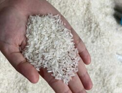 Bapanas Ajukan Anggaran Rp22,53 Triliun: Atasi Kenaikan Harga Beras dan Perkuat Bantuan Pangan