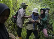 Di Balik Hijau Hutan Aceh: Krisis Deforestasi dan Aksi Bersama