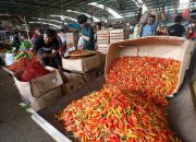 Harga Cabai dan Beras Turun, Bapanas Catat Penurunan Harga Pangan Nasional