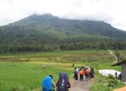 Kapan Jalur Pendakian Gunung Pulosari Dibuka? Ini Penjelasan Perhutani KPH Pandeglang