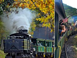The Ultimate Fall Foliage Train Ride: A 15-Mile Journey Through Red State Forests