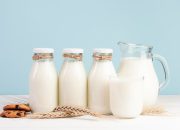 Susu Terbaik untuk Kesehatan: Sapi, Kedelai, Almond, atau Oat? Ini Penjelasannya
