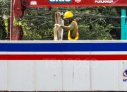 Waskita Karya Tuntaskan Proyek Irigasi Sumsel Senilai Rp 318,54 Miliar