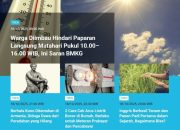 Tren Populer: Hindari Sinar Matahari Pukul 10.00-16.00 | Gunung di Iran “Bangun” Setelah Tidur 700.000 Tahun