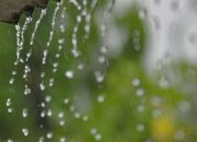 Mikroplastik di Air Hujan Jakarta: Penjelasan Pakar IPB tentang Sumber dan Bahaya bagi Kesehatan