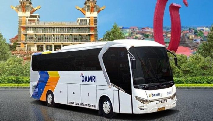 DAMRI Buka Rute dari Pelabuhan Belawan ke Kota-Kota Lain, Cek Jadwal dan Tarifnya