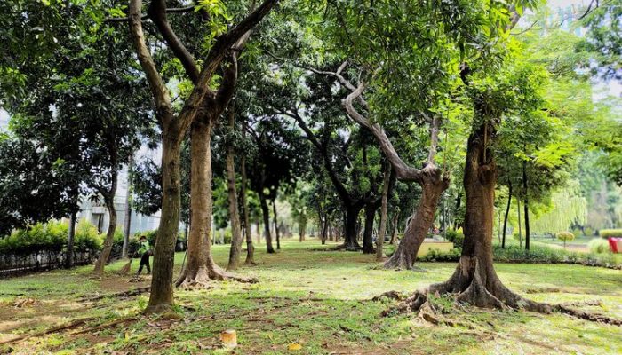 Mengunjungi Taman Cattleya, Wisata Hijau di Jakarta Barat