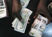 Naira Soars as Forex Fears Fade