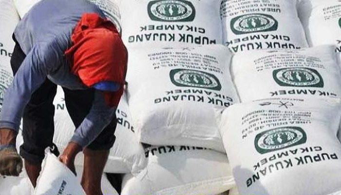 Hadapi Tekanan Ganda, Petani Apel Pasuruan Minta Pupuk Subsidi Dikembalikan